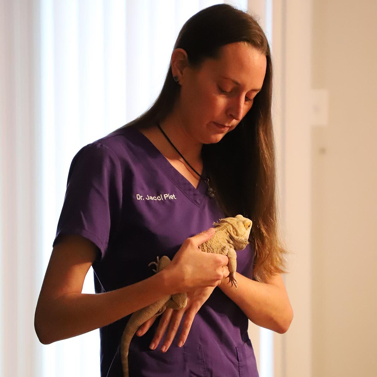 Dr. Jacci Piet is taking care of a pet on her hands.